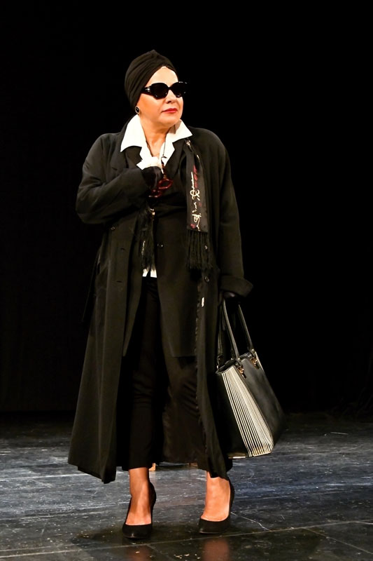 picture Mistrovská lekce s Dagmar Peckovou