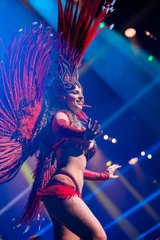 picture LADY CARNEVAL - Největší hity božského Káji