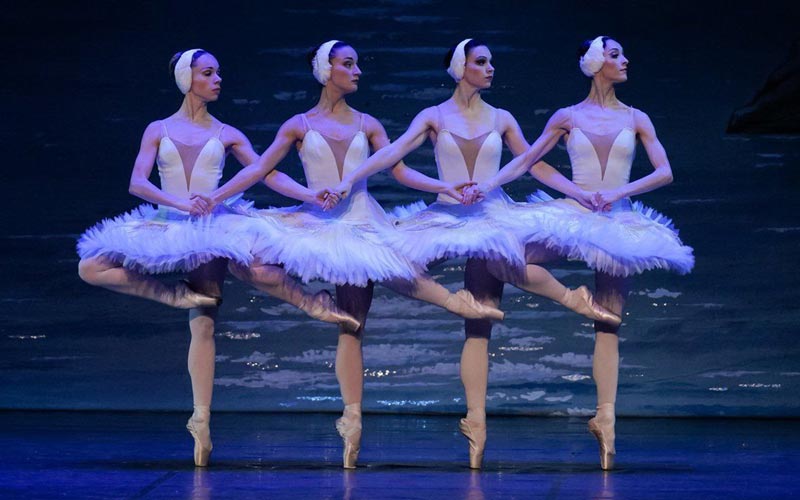 picture EUROPEAN CLASSICAL BALLET - LABUTÍ JEZERO