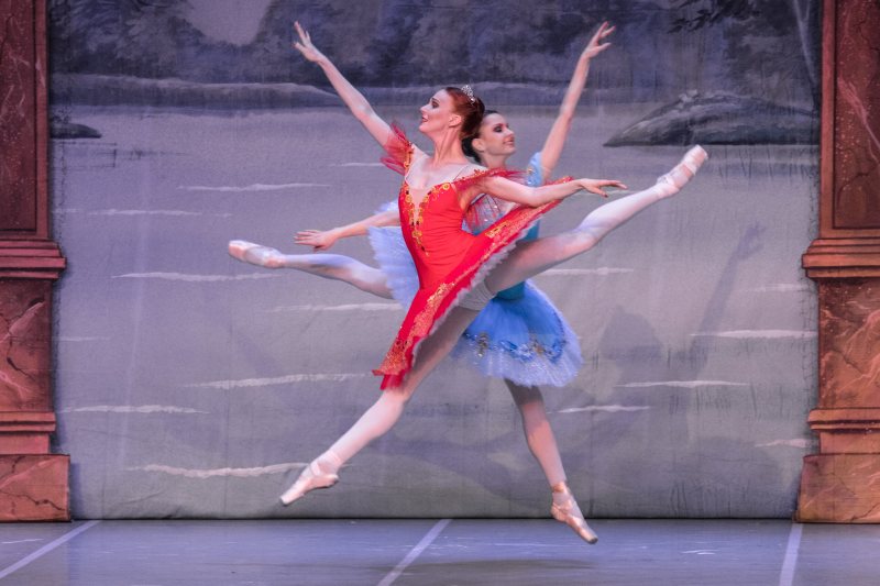 picture International Festival Ballet - Šípková Růženka