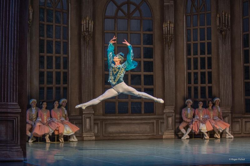 picture International Festival Ballet - Šípková Růženka