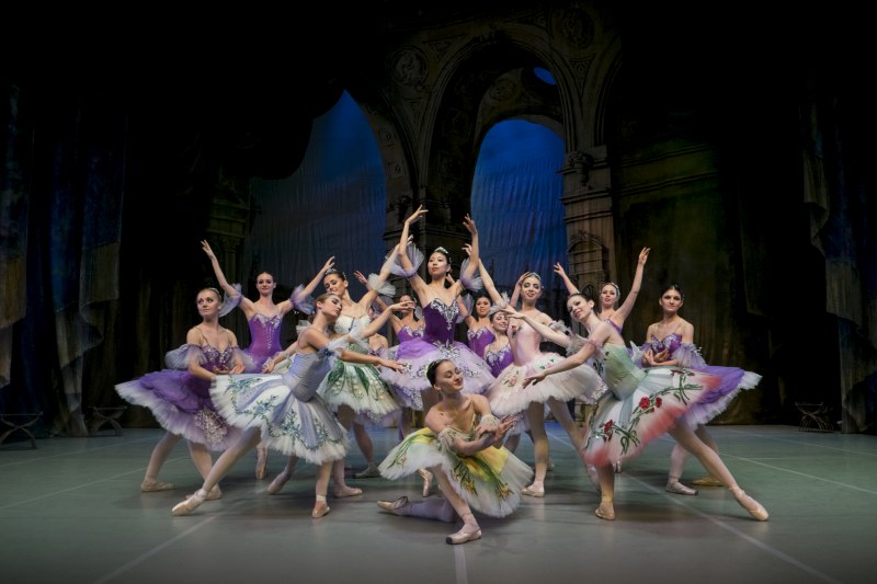 picture International Festival Ballet - Šípková Růženka
