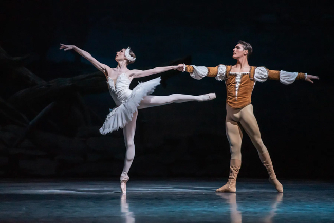 picture Labutí jezero