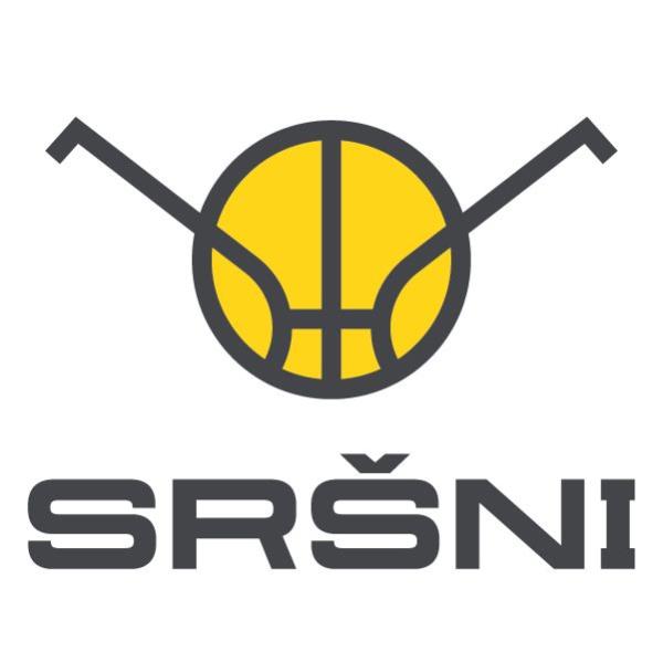 Sršni Photomate Písek – BK Olomoucko