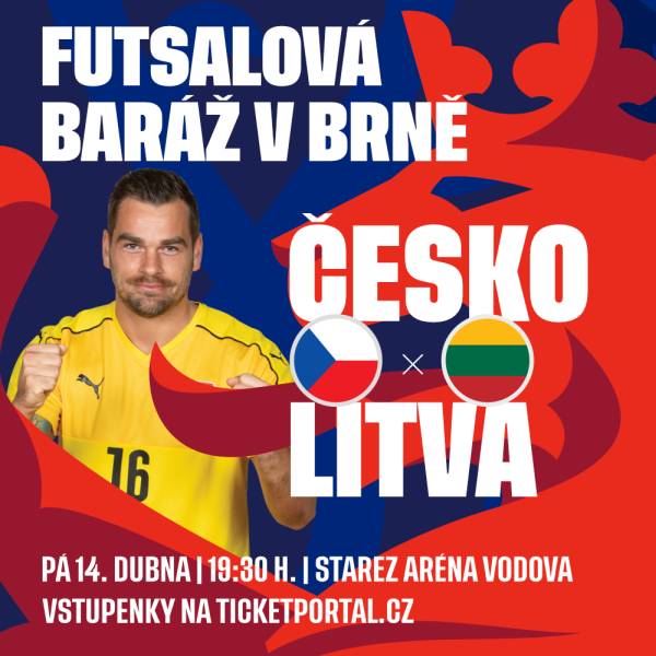 Futsalová kvalifikace o postup na MS 2024, Česko - Litva