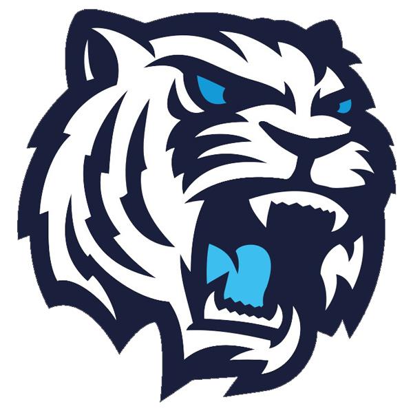 Bílí Tygři Liberec – Graz 99ers