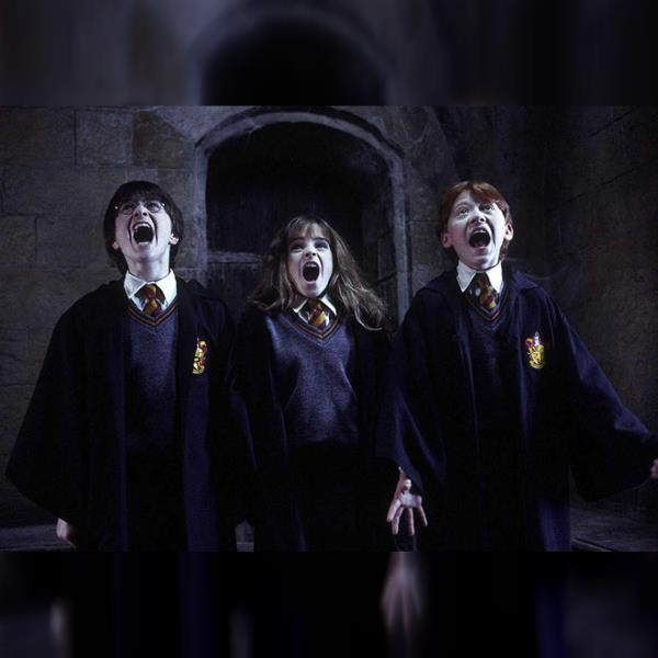 Harry Potter a Kámen mudrců