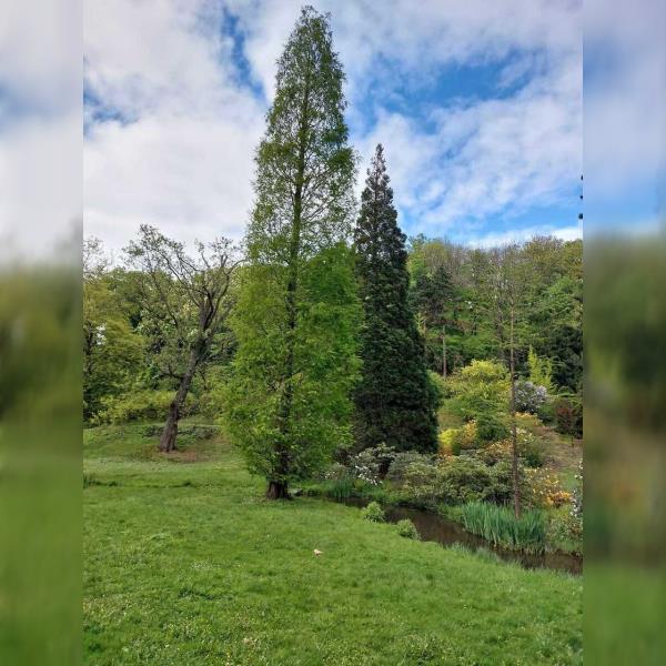 Malešice včetně neznámé botanické zahrady