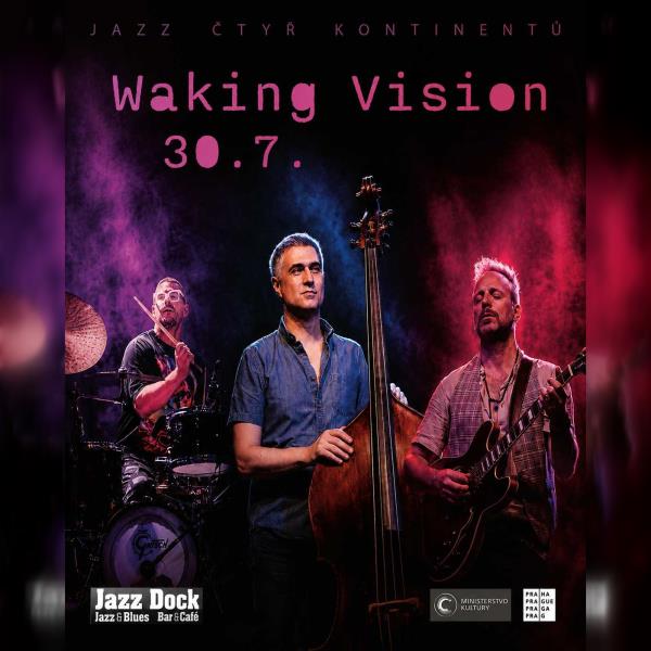 Waking Vision