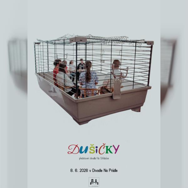 Dušičky