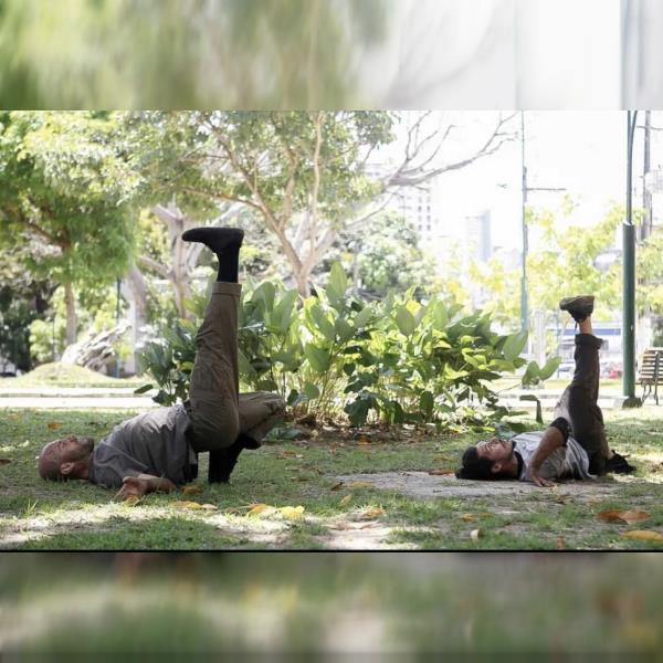 Tanec Praha 2026: O čem stromy nemluví