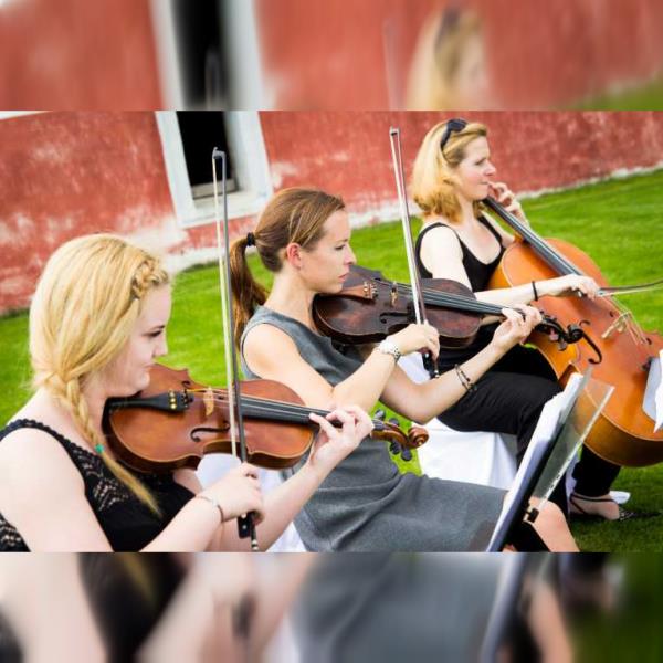 Smyčcový kvartet White Strings