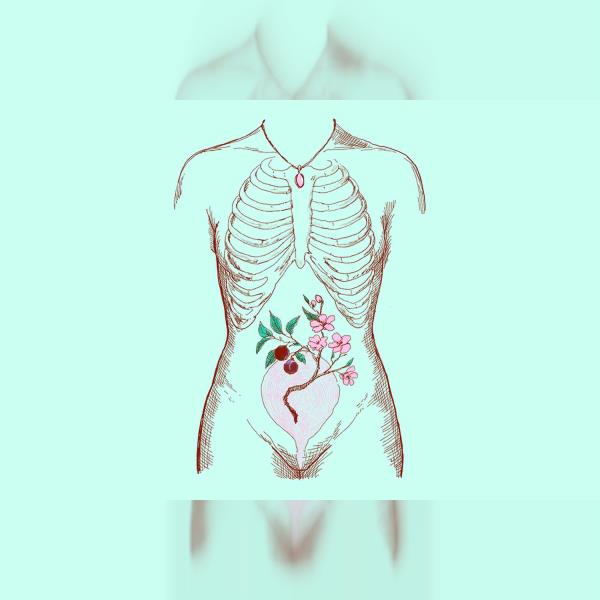 PYT+: Anatomy of a Suicide