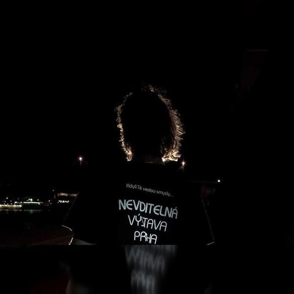 Neviditelná výstava: Klasická prohlídka