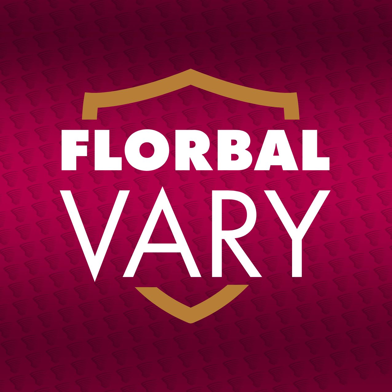 Florbal Vary – Kanonýři Kladno