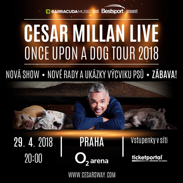 CESAR MILLAN LIVE