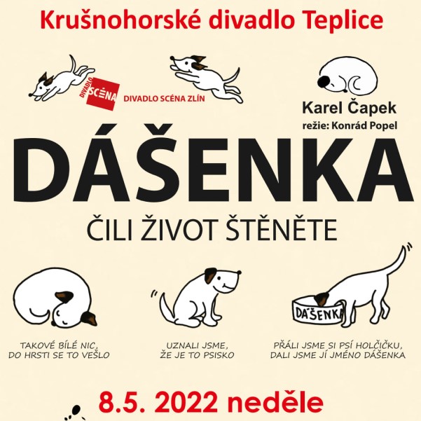 DÁŠEŇKA ČILI ŽIVOT ŠŤĚNĚTE