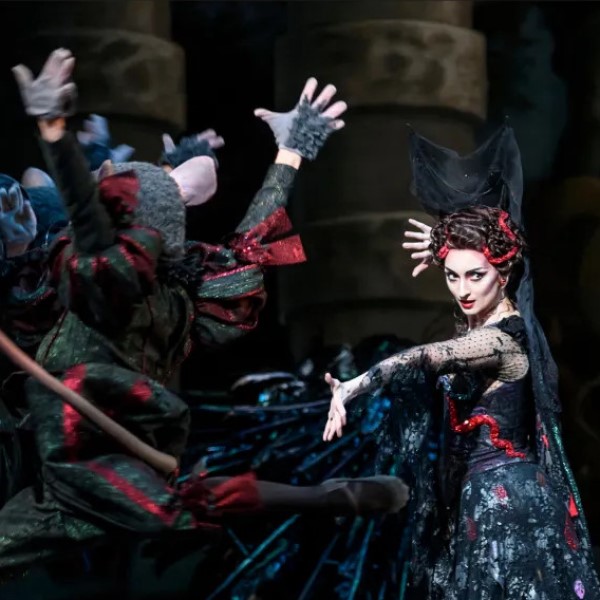 ŠÍPKOVÁ RŮŽENKA - balet