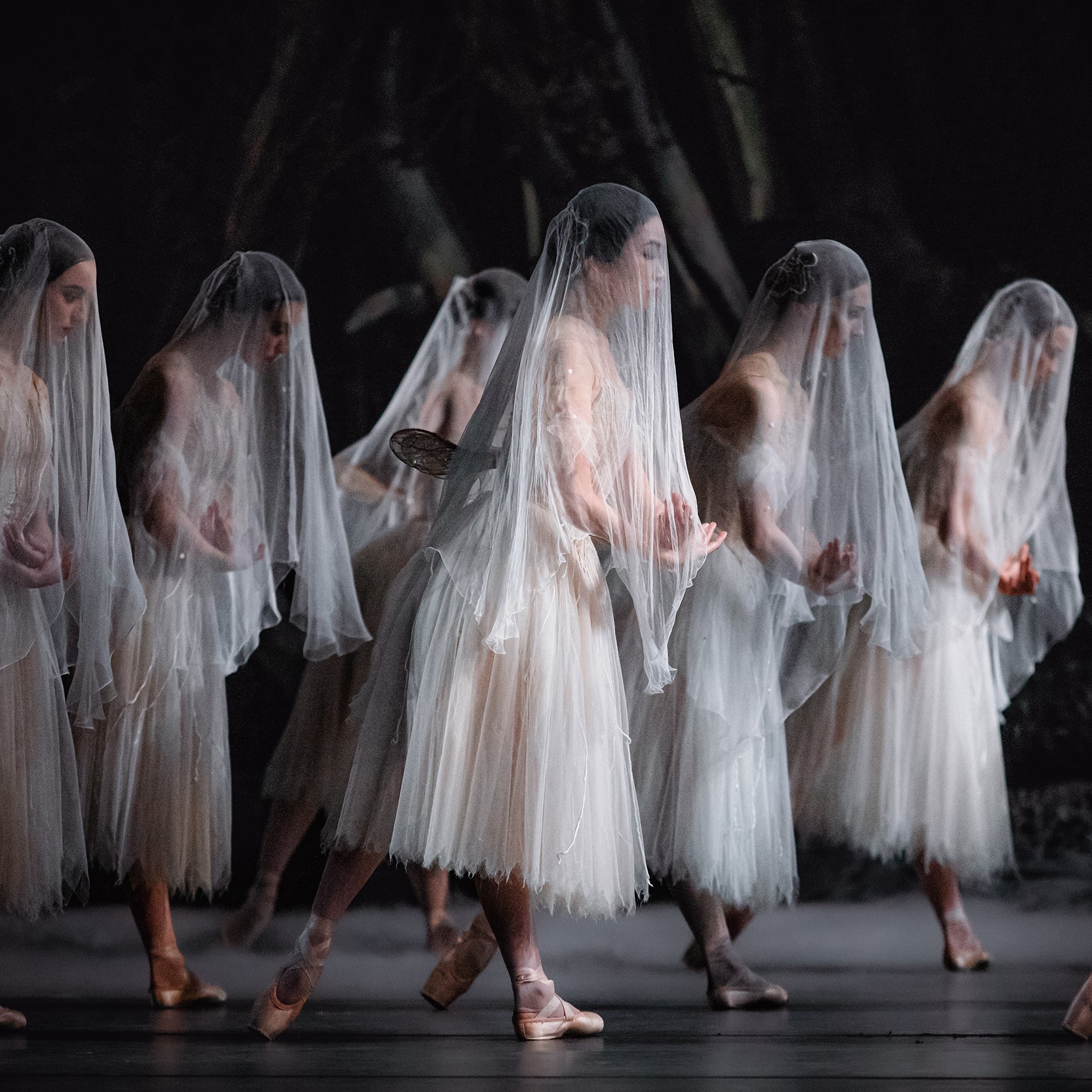 GISELLE
