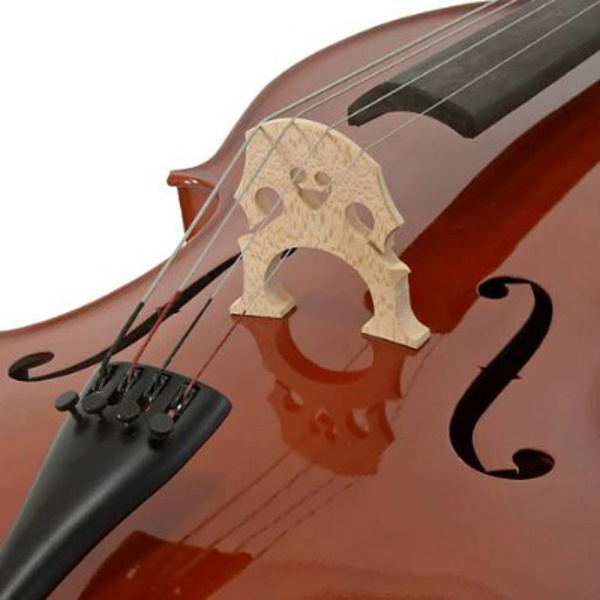 7. ABONENTNÍ KONCERT CYKLU K