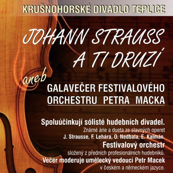 JOHANN STRAUSS A TI DRUZÍ
