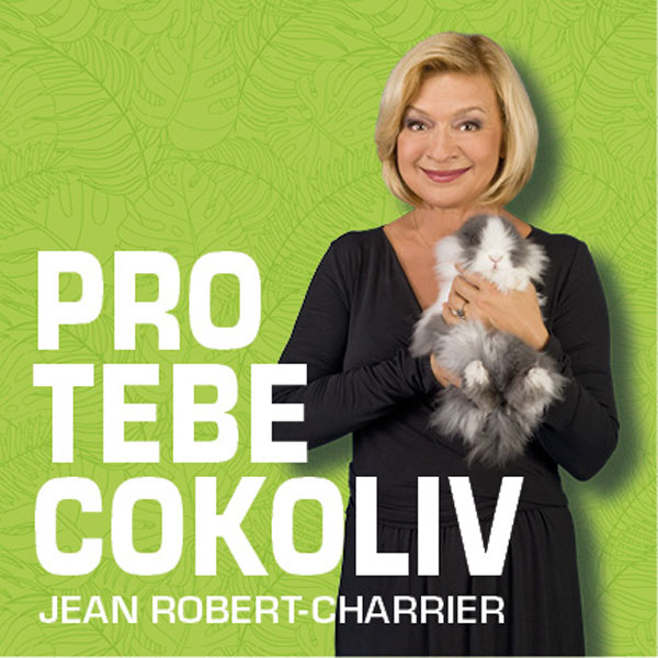 Pro tebe cokoliv-komedie pro sedm herců a králíka