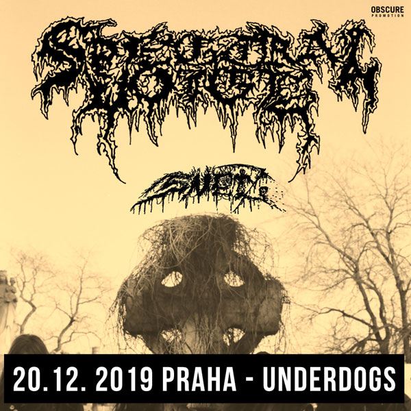 SPECTRAL VOICE (USA) + SNĚŤ (CZ)