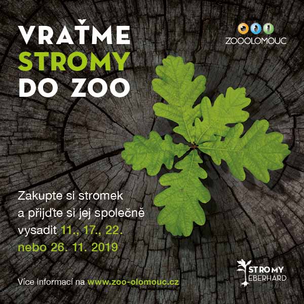 VRAŤME STROMY DO ZOO