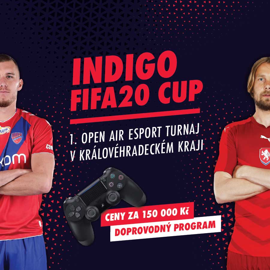 INDIGO FIFA20 CUP