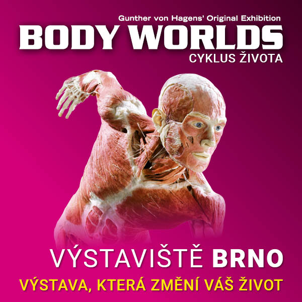 BODY WORLDS - CYKLUS ŽIVOTA