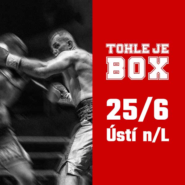 TOHLE JE BOX IV