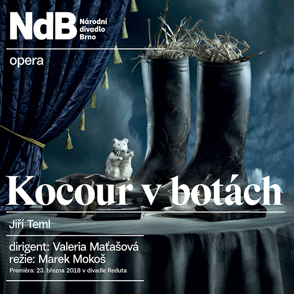 Kocour v botách - Jiří Teml