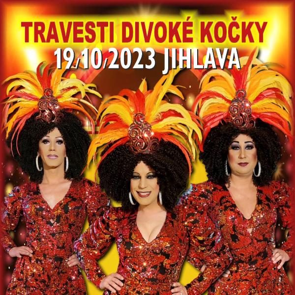 DIVOKÉ KOČKY travesti show