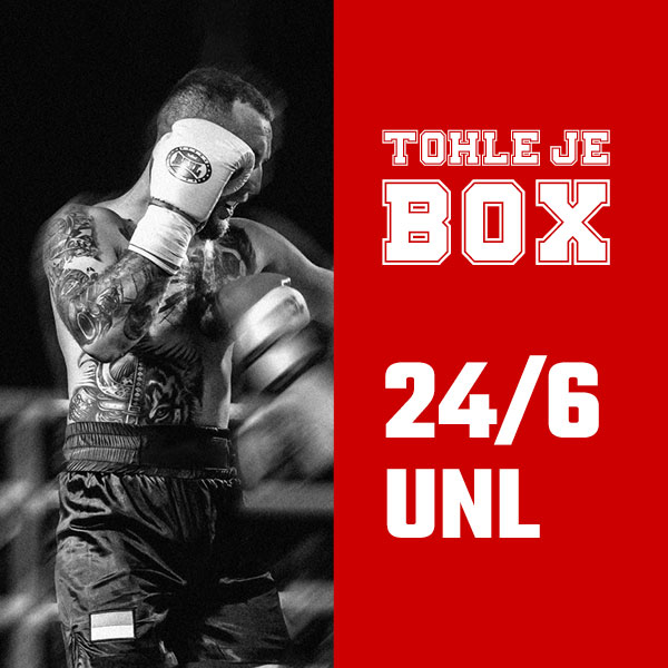 TOHLE JE BOX VII