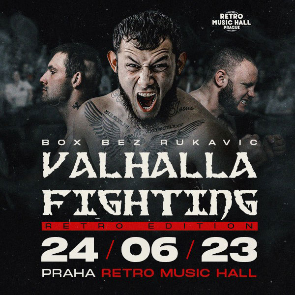 VALHALLA FIGHTING: RETRO EDITION