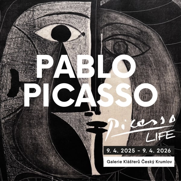 Voucher Picasso Life