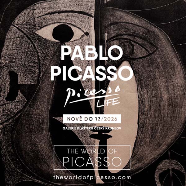 Voucher Picasso Life