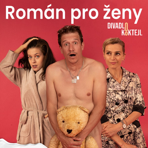 ROMÁN PRO ŽENY (Michal Viewegh, Jakub Vašek)