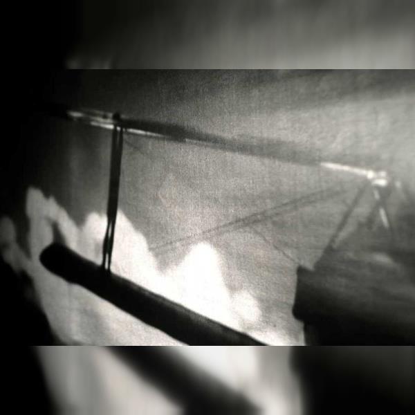 Gracias Pablo + Fringe Shades + Taran