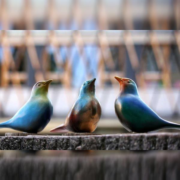 Dětská pěvecká soutěž – Brdský kos 2026