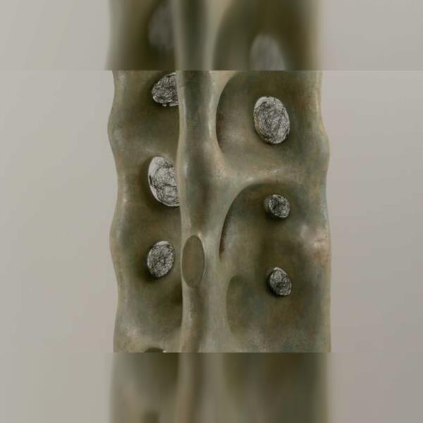 Školy – Hledání tvaru