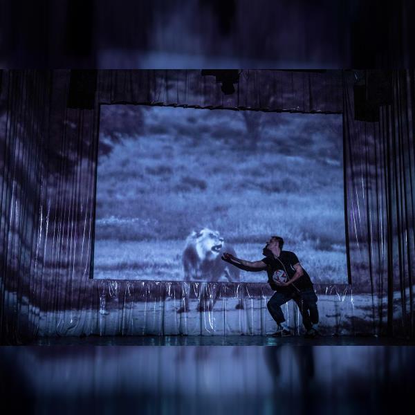 Irvine Welsh: Noční můry s čápem marabu