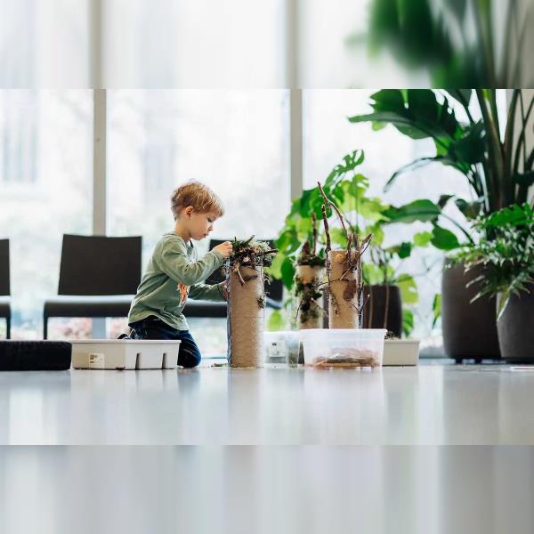 Archihrátky: Domy z různých koutů světa