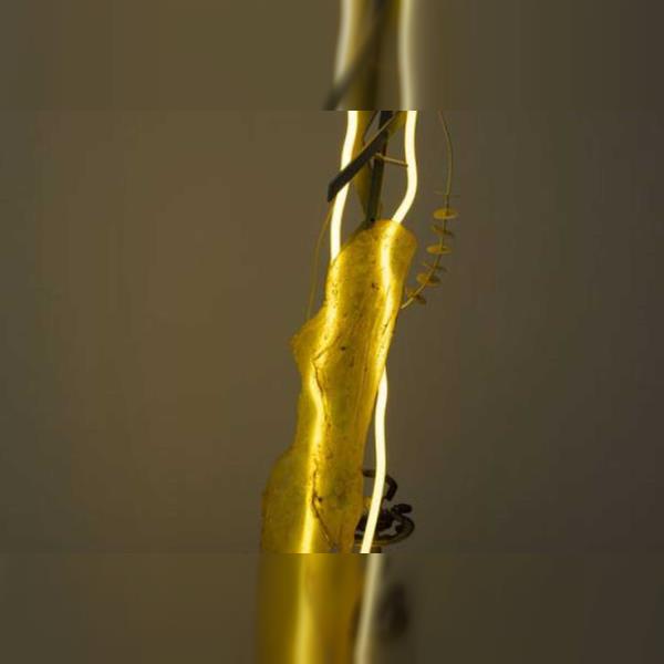 Školy – V dálce svítí