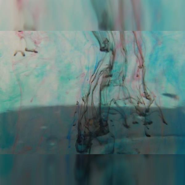 Školy – Na hladině i pod hladinou