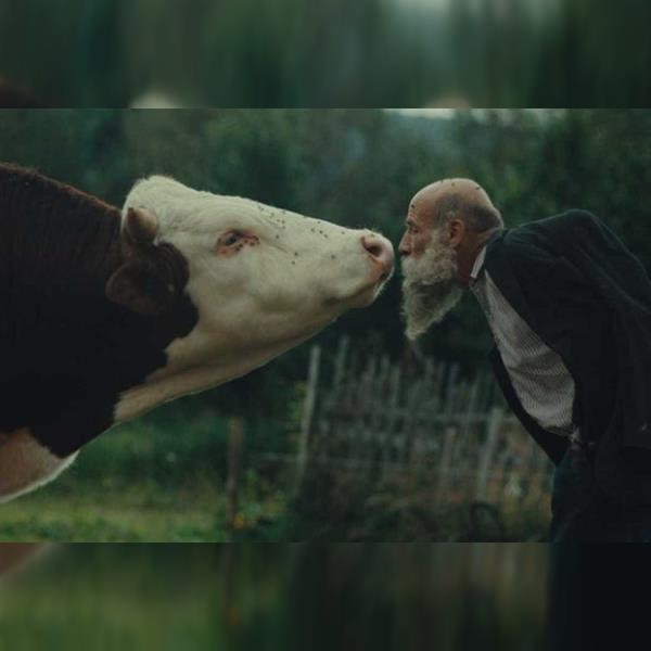 Raději zešílet v divočině