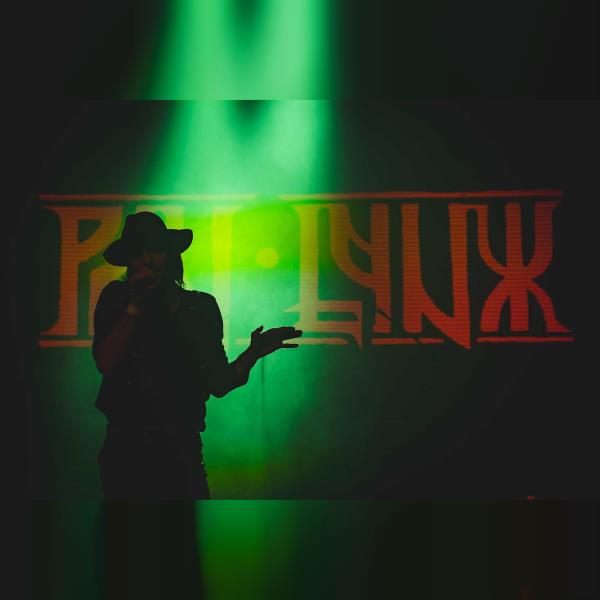 Pan Lynx