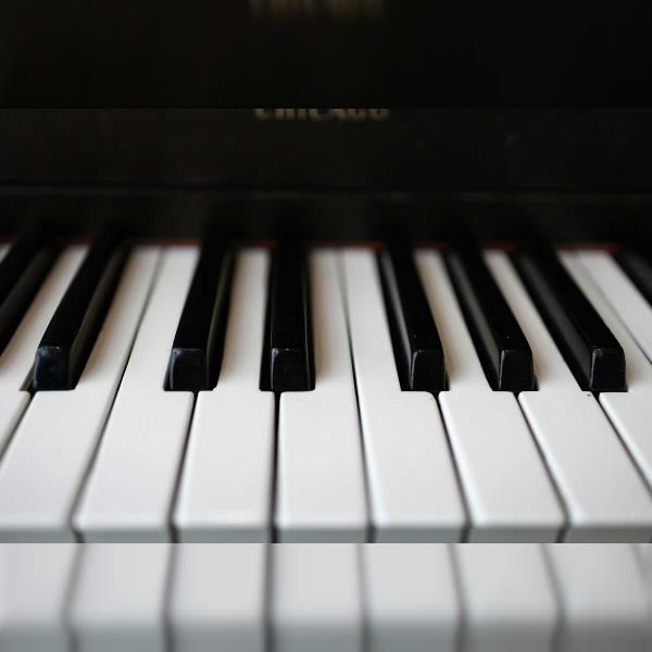 Multicreations: Tereza Konzalová – Nadkroví