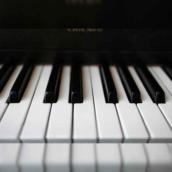 Multicreations: Tomáš Šrámek – Kameň & Rožok: The Opera