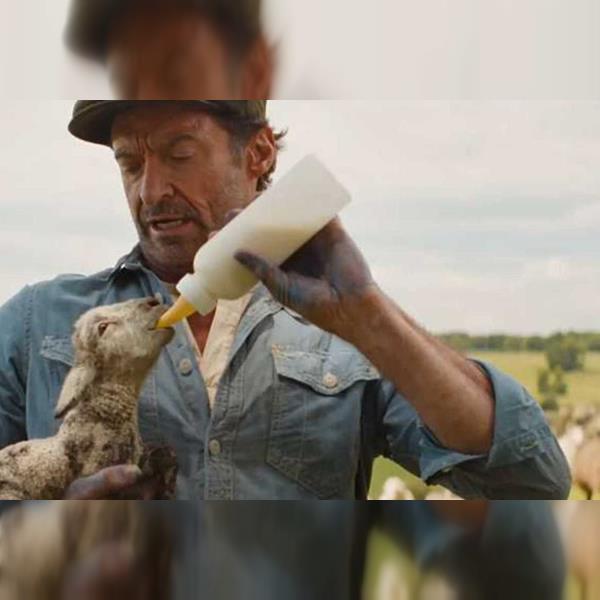 Béé team na stopě